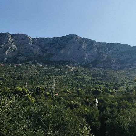 بريست Nasa Kuca Bed & Breakfast - Adults Only المظهر الخارجي الصورة