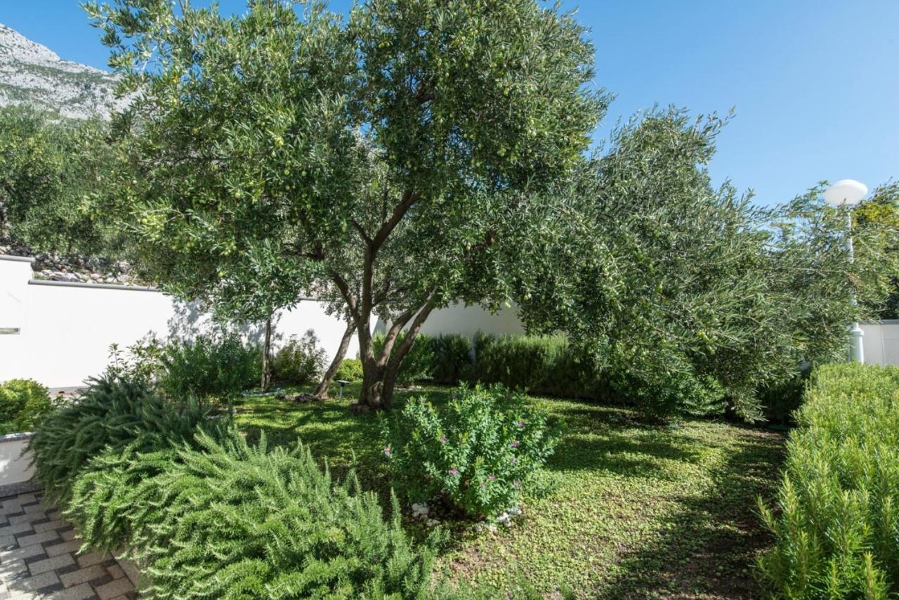 بريست Nasa Kuca Bed & Breakfast - Adults Only المظهر الخارجي الصورة